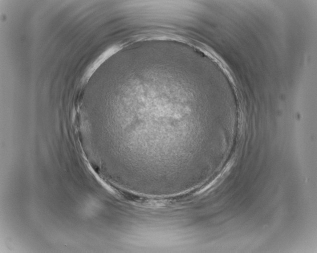 X0000087691385200706011708