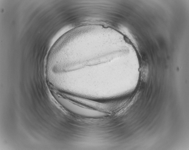 X0000087691386200706011708