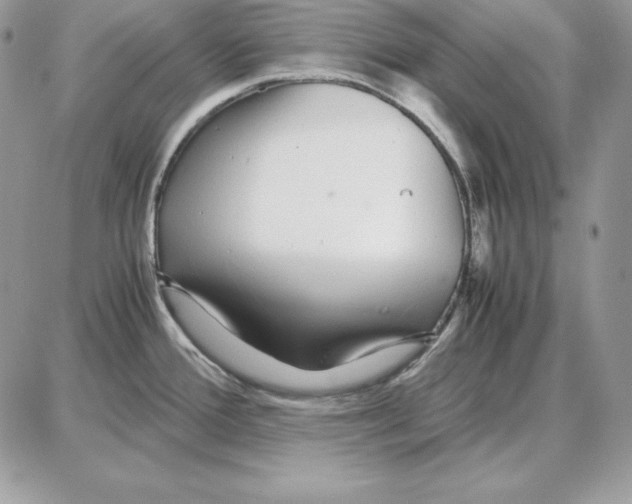 X0000087691388200706011708