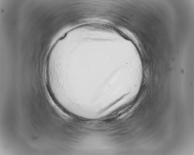 X0000087691391200706011708