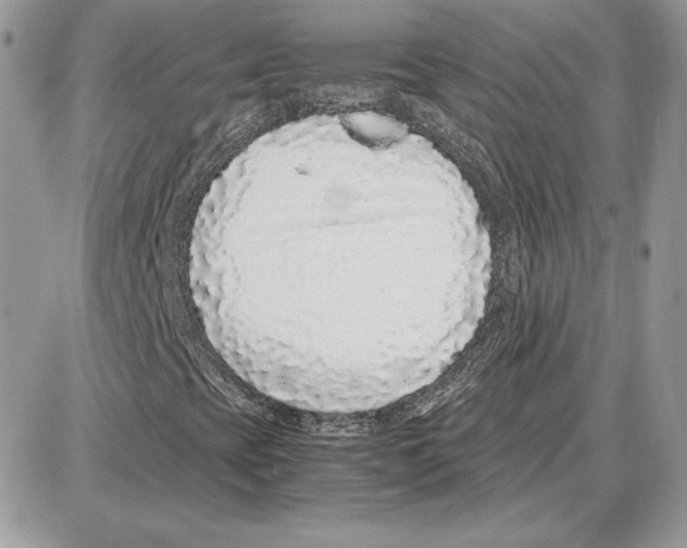 X0000087691393200706011707