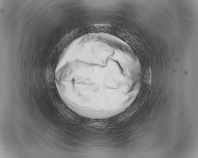 X0000087691395200706011707
