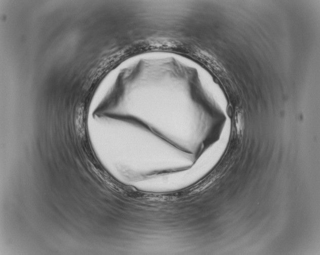 X0000087691396200706011707