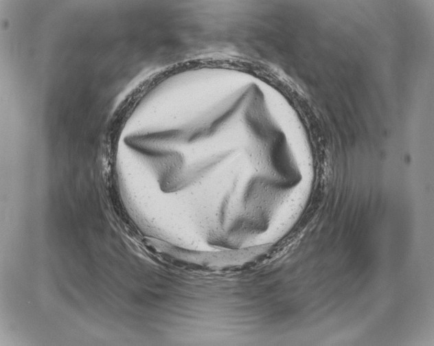 X0000087691400200706011707