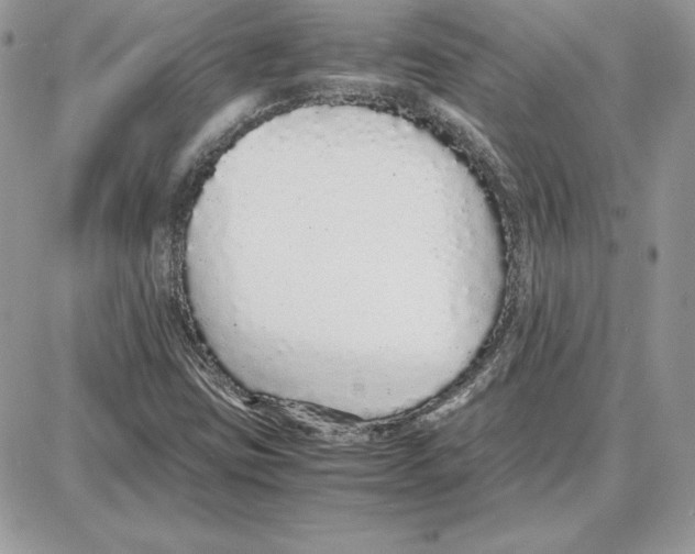 X0000087691403200706011707