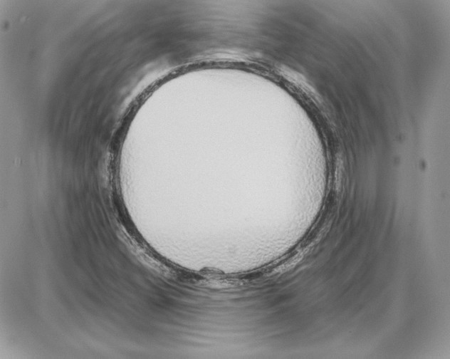 X0000087691404200706011707