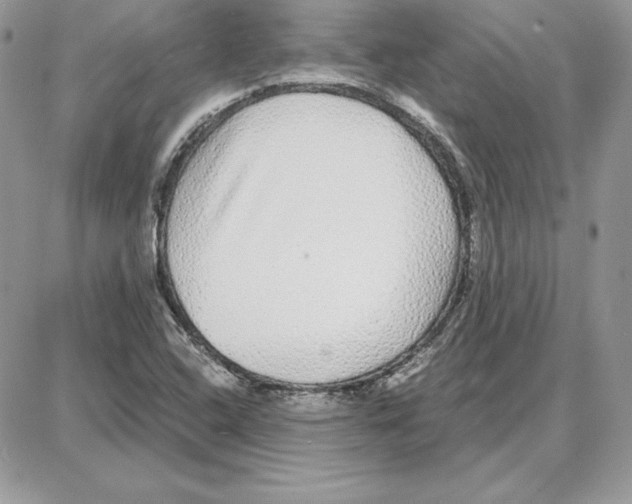 X0000087691408200706011707