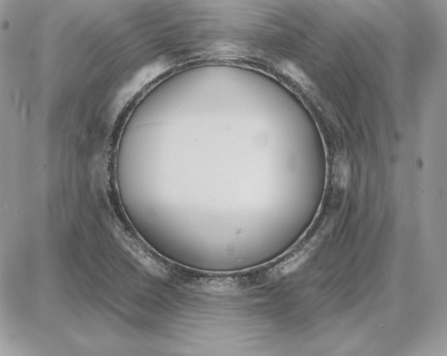 X0000087691410200706011708