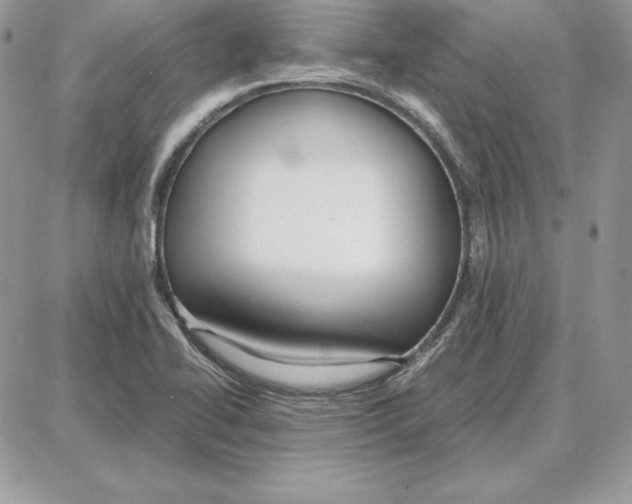 X0000087691414200706011708