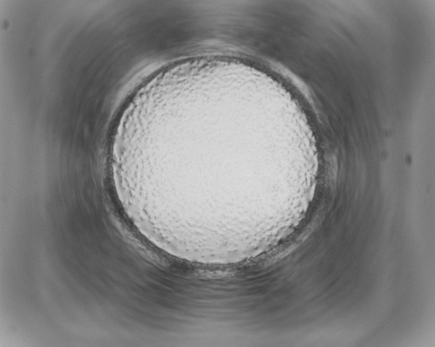 X0000087691415200706011708