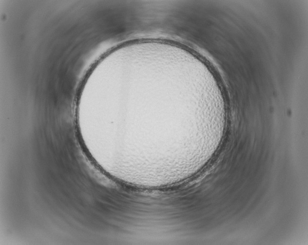 X0000087691416200706011708