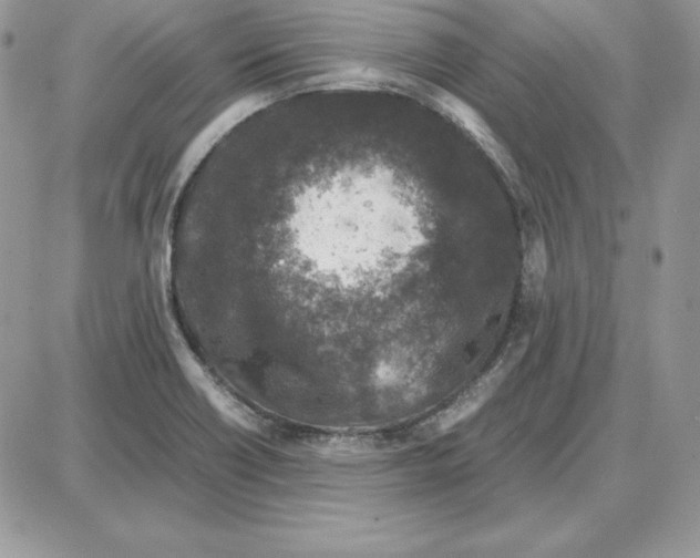 X0000087691418200706011708