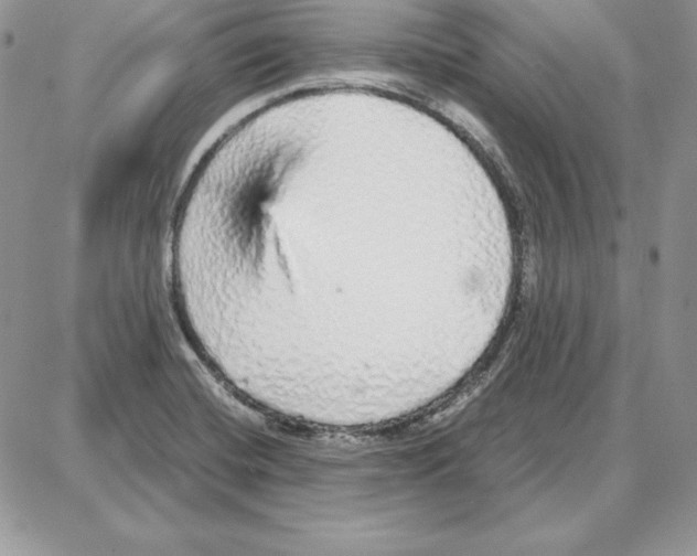 X0000087691420200706011708