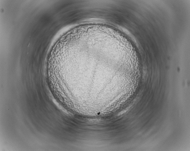 X0000087691421200706011708