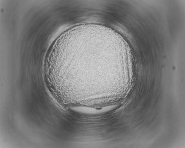X0000087691423200706011708