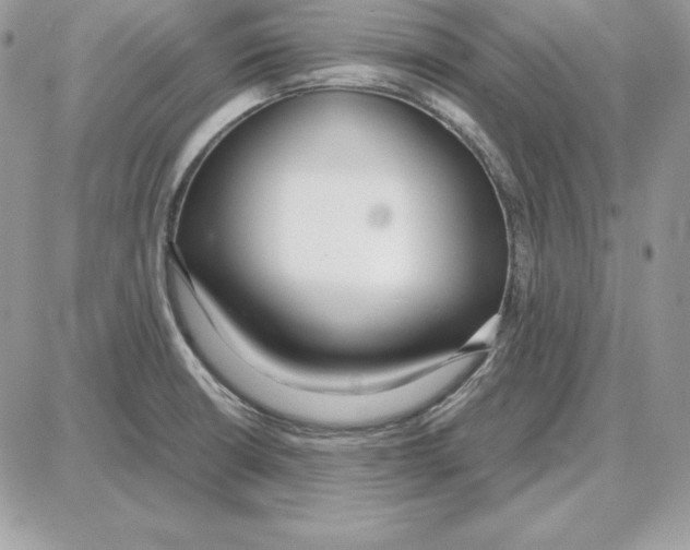X0000087691426200706011708