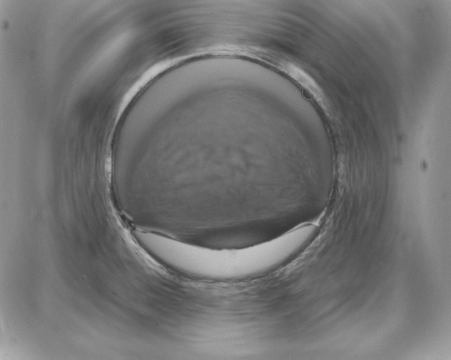X0000087691428200706011708