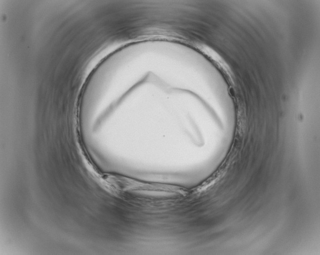 X0000087691431200706011708