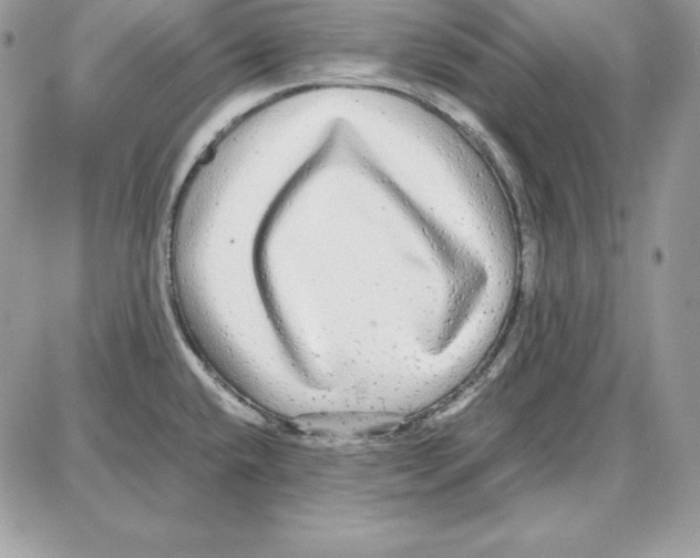 X0000087691432200706011708