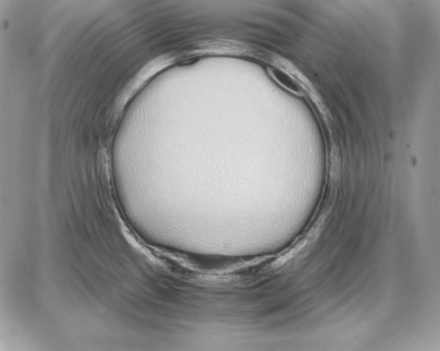 X0000087691433200706011708