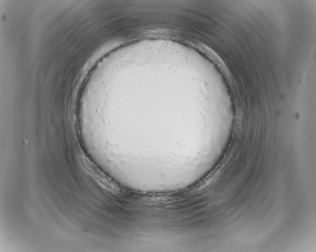 X0000087691435200706011708