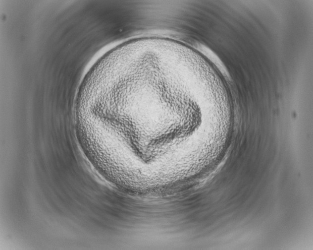 X0000087691436200706011708