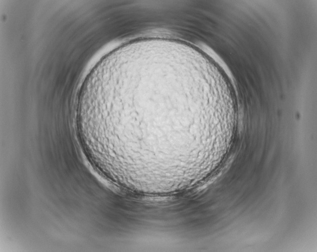 X0000087691437200706011708
