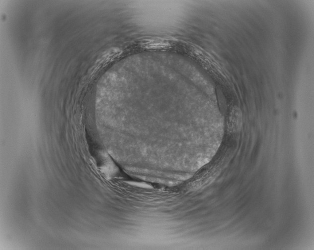 X0000087691441200706011707