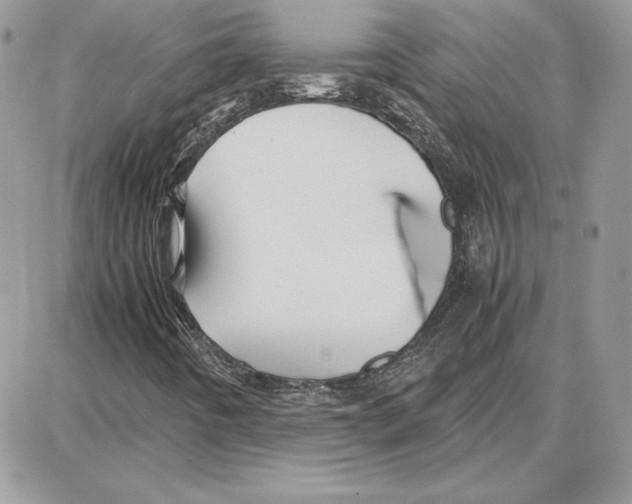X0000087691442200706011707