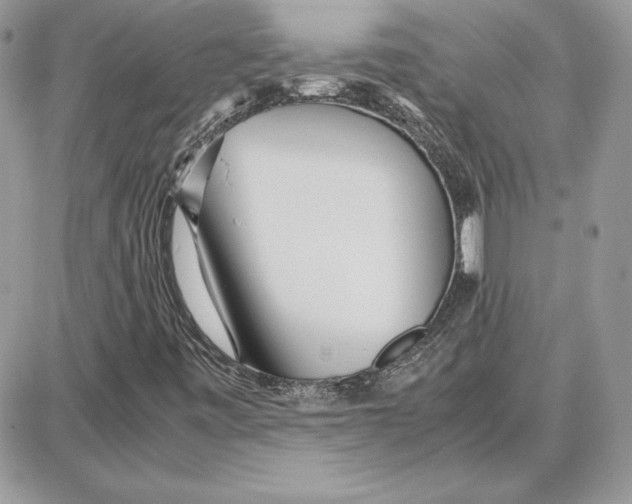 X0000087691443200706011707