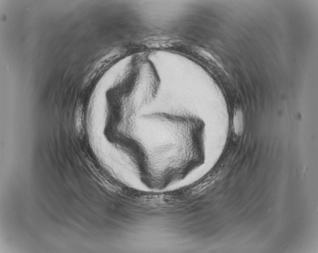 X0000087691444200706011707
