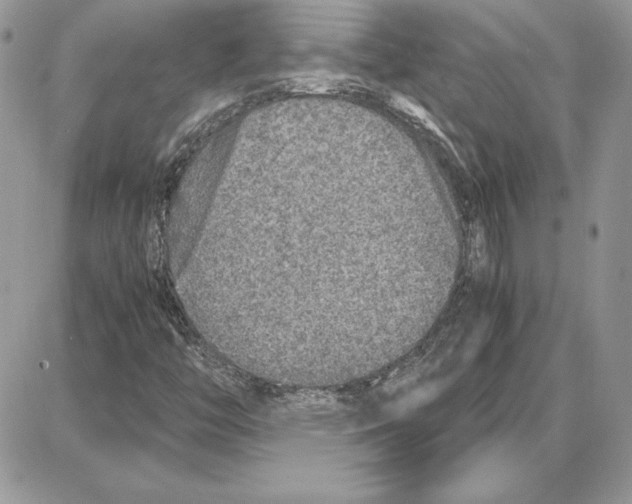 X0000087691446200706011707