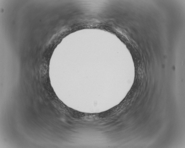 X0000087691447200706011707
