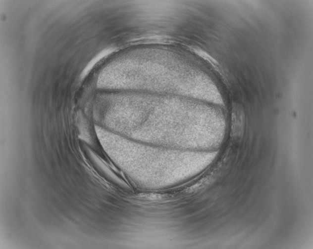 X0000087691450200706011707