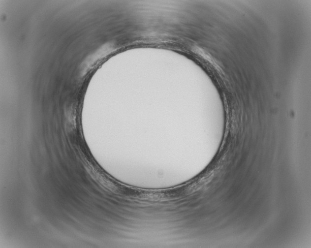 X0000087691451200706011707