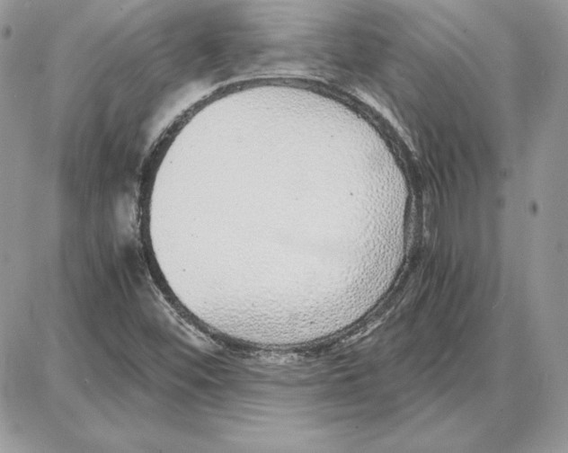 X0000087691452200706011707