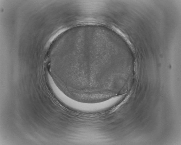 X0000087691453200706011707