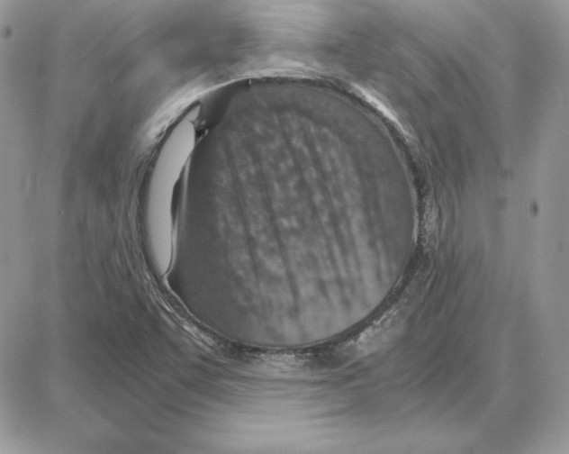 X0000087691455200706011707