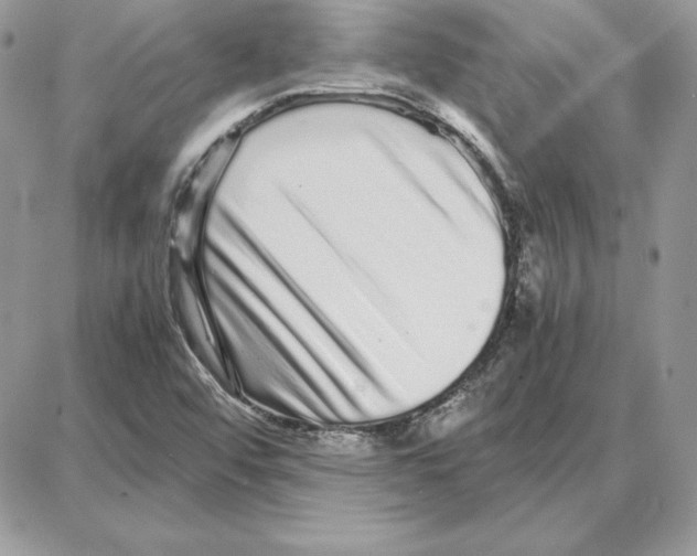 X0000087691456200706011707