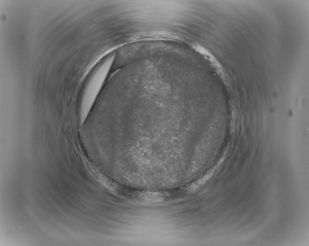 X0000087691457200706011707