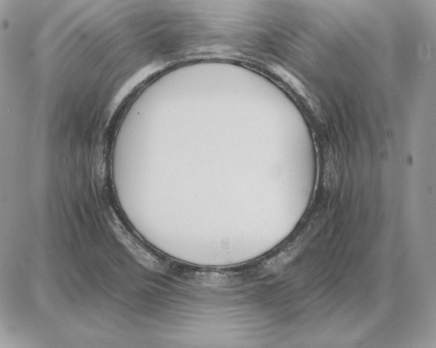X0000087691458200706011707