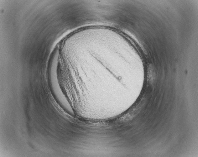 X0000087691460200706011707