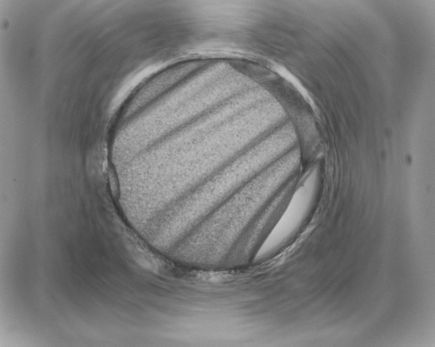 X0000087691461200706011707