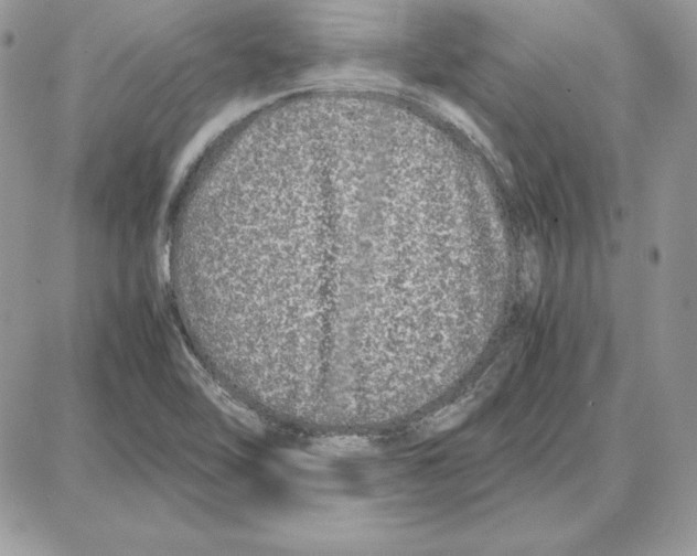 X0000087691462200706011707