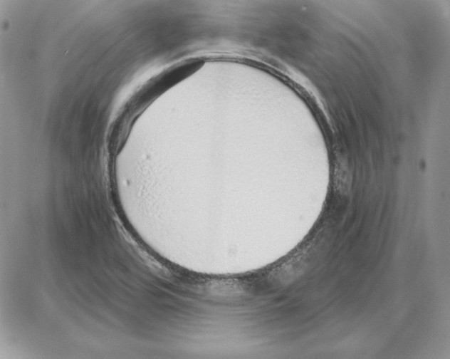X0000087691464200706011707