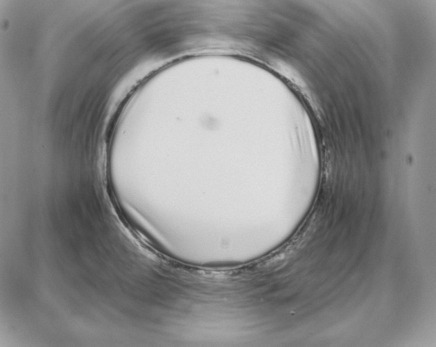 X0000087691472200706011707