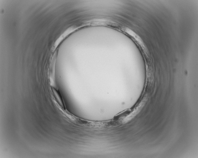 X0000087691473200706011707
