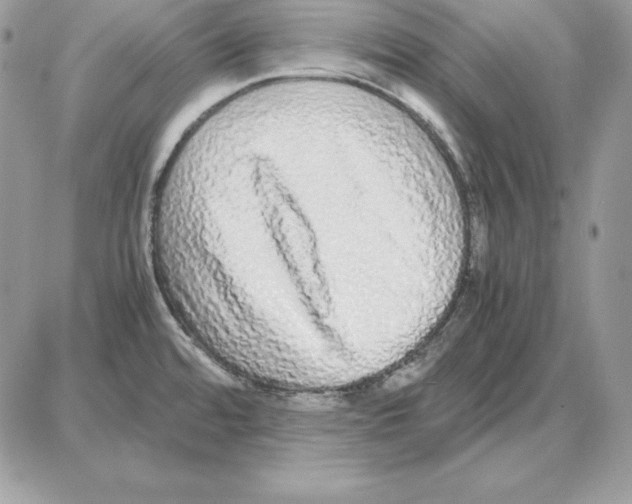 X0000087691480200706011707
