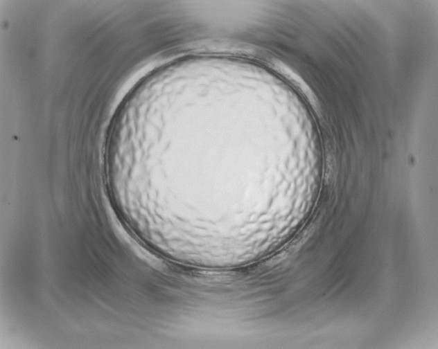 X0000087691483200706011707