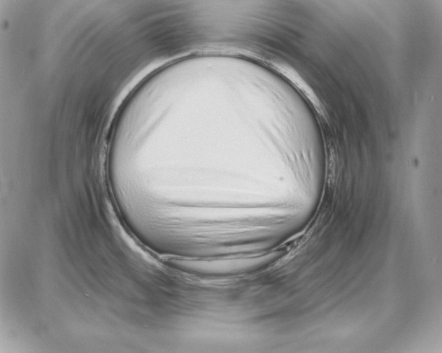 X0000087691484200706011707